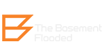 thebasementflooded.com